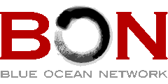 Blue Ocean Network
